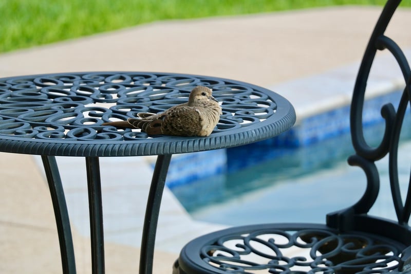 Patio decor